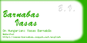 barnabas vasas business card